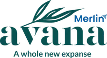 Merlin Avana